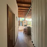 Complejo Del Bosque